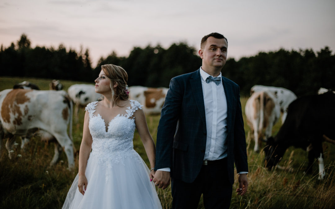 Paulina, Michał and Rafałek – parents’ wedding as a holiday for the whole family